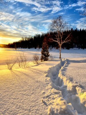 Winterlandschaft im Sonnenaufgang
