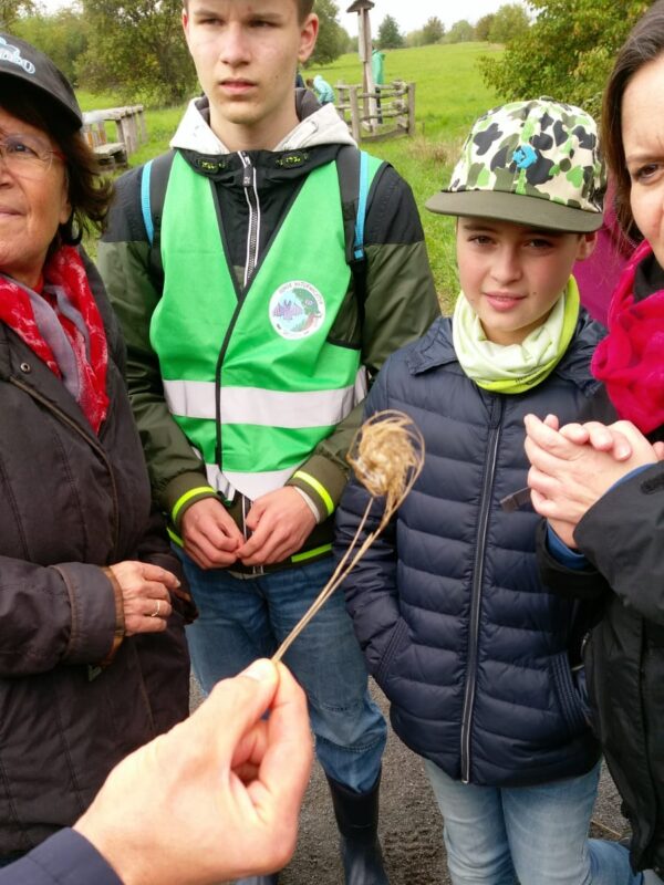 Die Jungen Naturwächter bestaunen beim Nistkastenbau einen Halm
