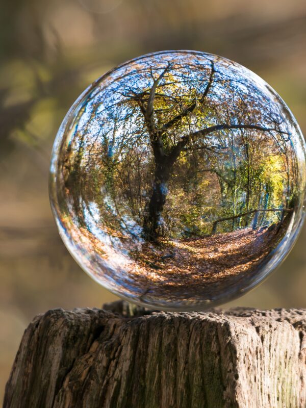 Glaskugel, in der sich ein Wald spiegelt